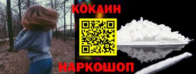a pvp Камышлов