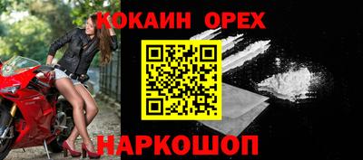 a pvp Камышлов