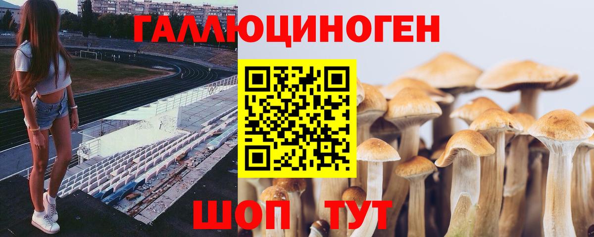 Донской  Галлюциногенные грибы MAGIC MUSHROOMS  Вход с VPN 